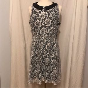 Xhilaration  White Lace Dress L